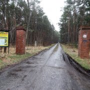 bombowe lasy 1